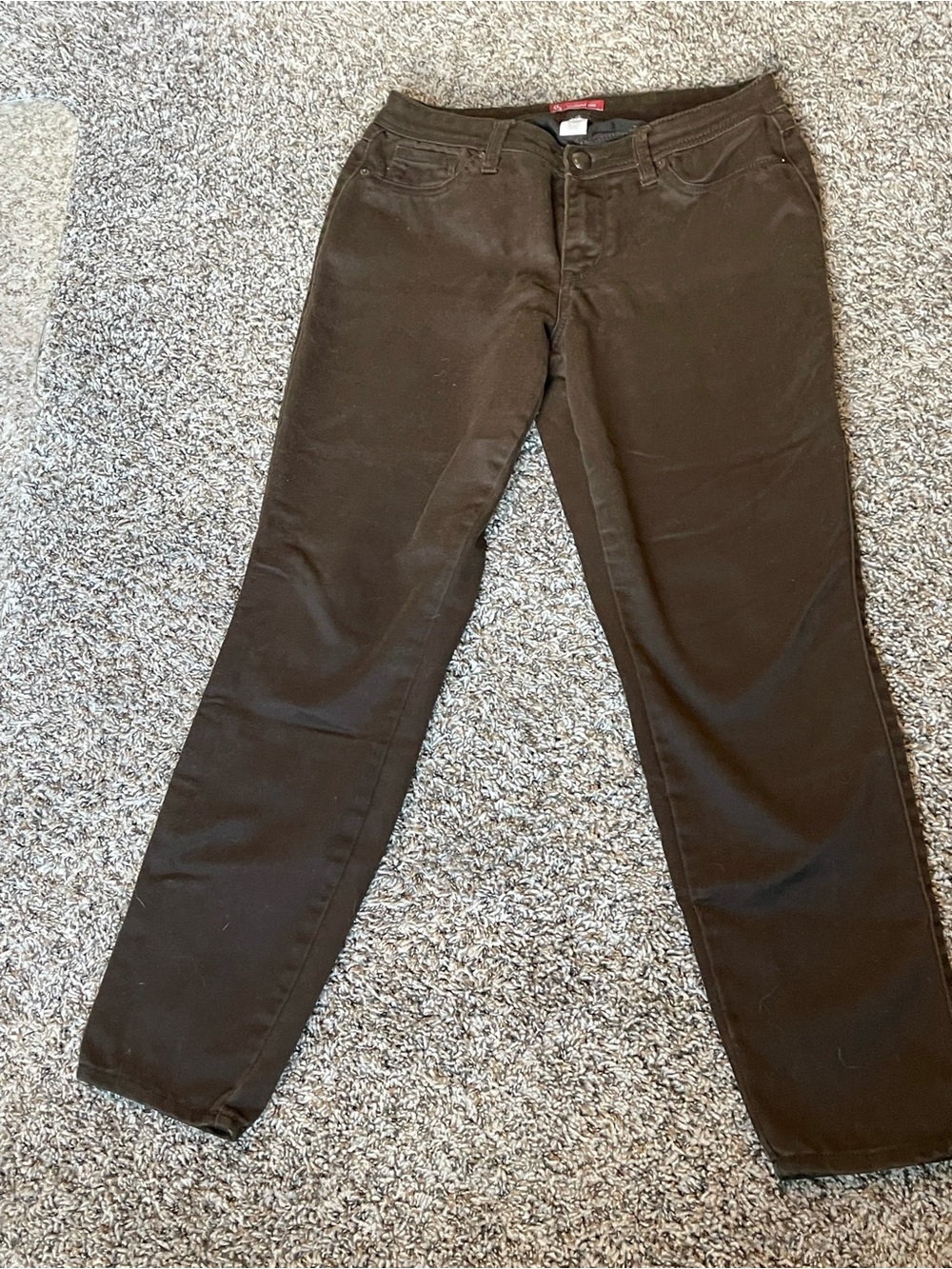 Dress Barn Women's Straight-Leg Jeans in Dark Brown